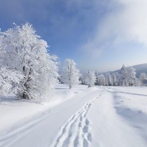 Meet your Posher, Juan